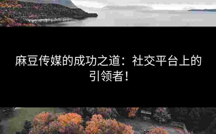 麻豆传媒的成功之道：社交平台上的引领者！
